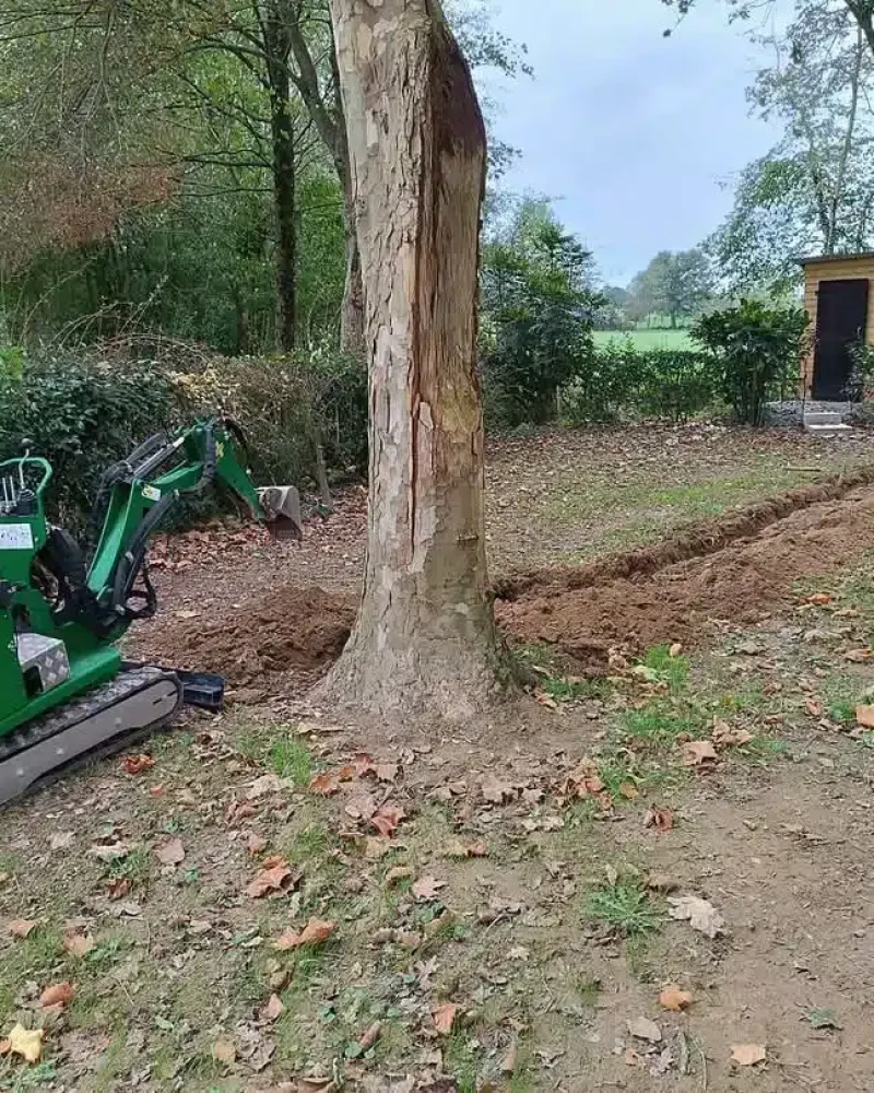 Réalisation de jardinage et d'entretien par JMS, menuisier à Saint-Hilaire-le-Vouhis