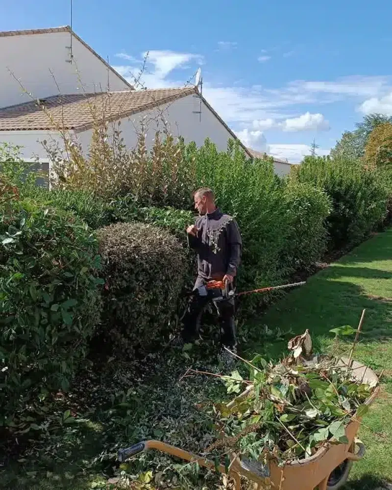 Réalisation de jardinage et d'entretien par JMS, menuisier à Saint-Hilaire-le-Vouhis