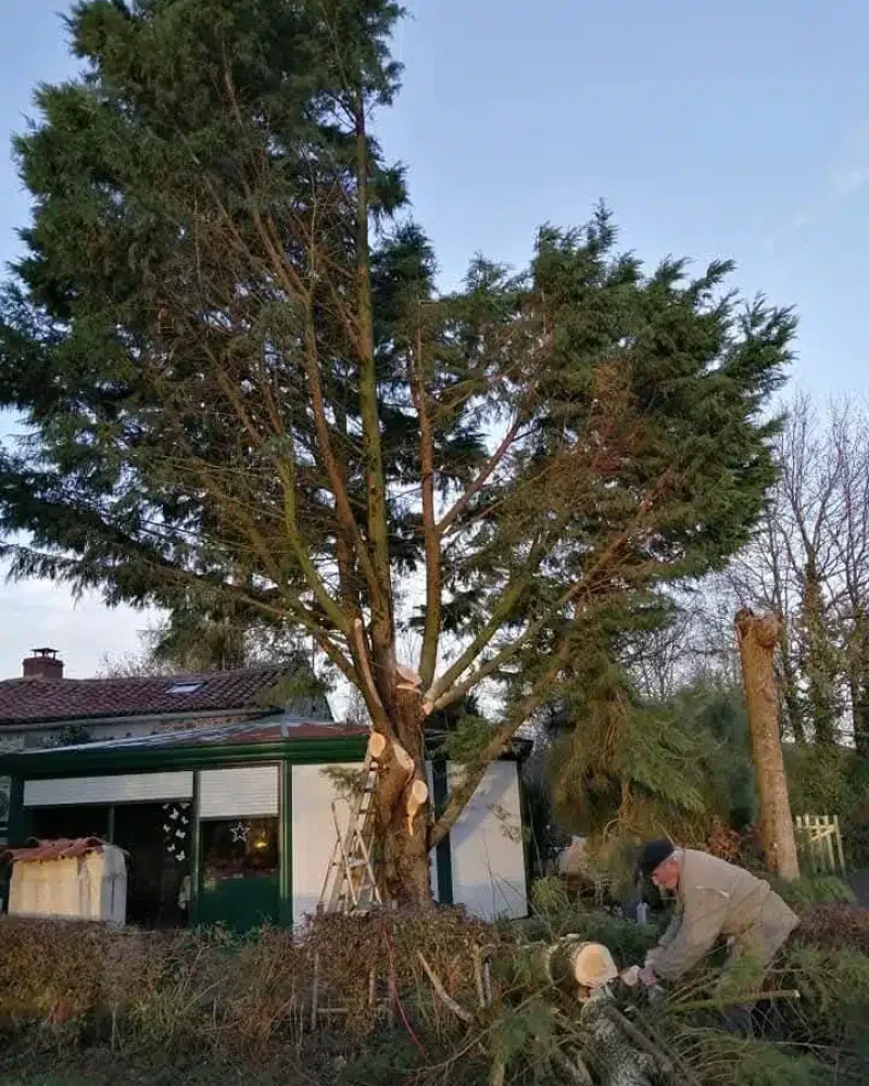 Réalisation de jardinage et d'entretien par JMS, menuisier à Saint-Hilaire-le-Vouhis